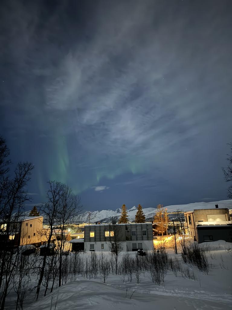 Aurora sighting in Tromsø, Norway | AuroraReach