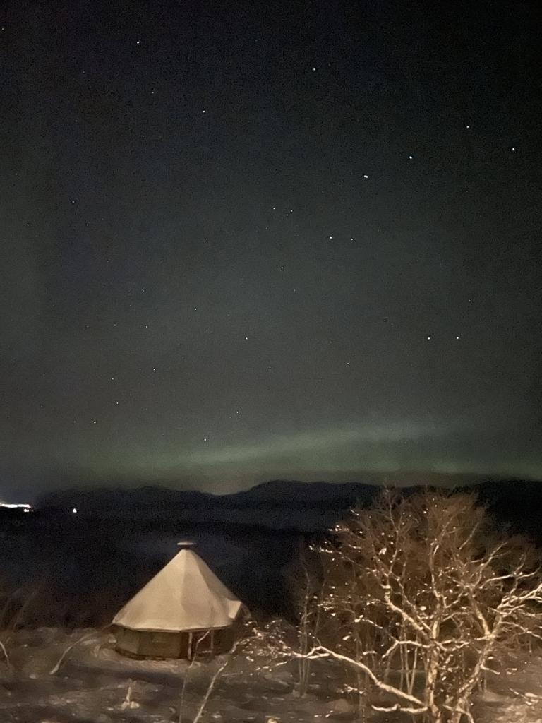 AuroraReach