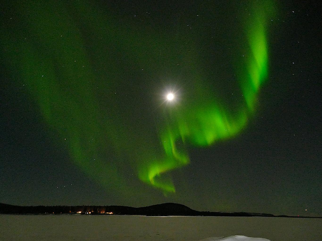 Yalangoch Zarring fotosurati